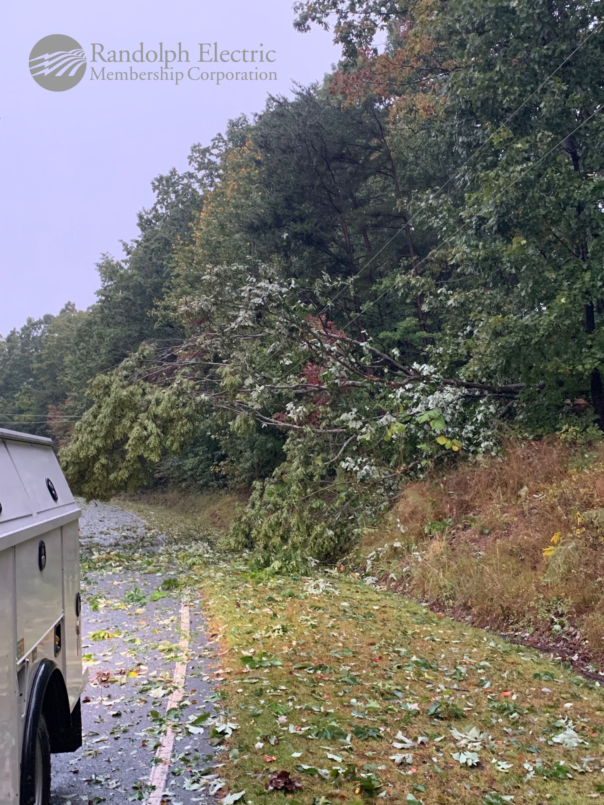 tree truck on the line