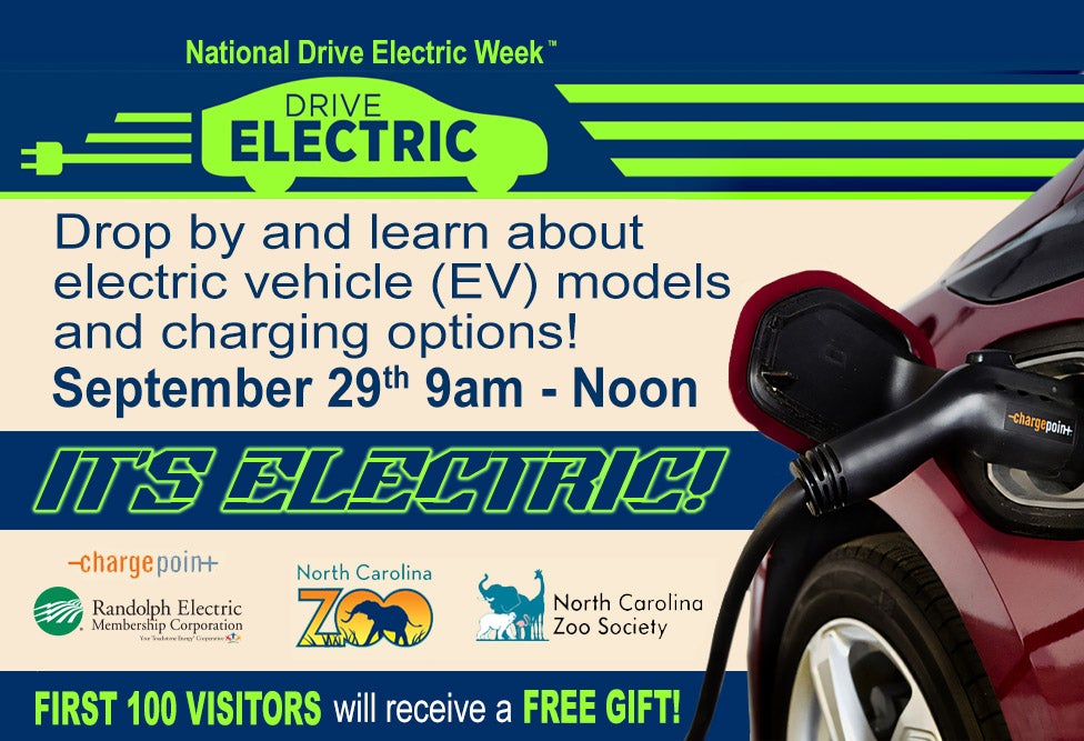 https://www.randolphemc.com/sites/default/files/revslider/image/Banner%20-%20Website%20-%20NDEW%20Drive%20Electric%20Event%20at%20the%20Zoo-4.jpg