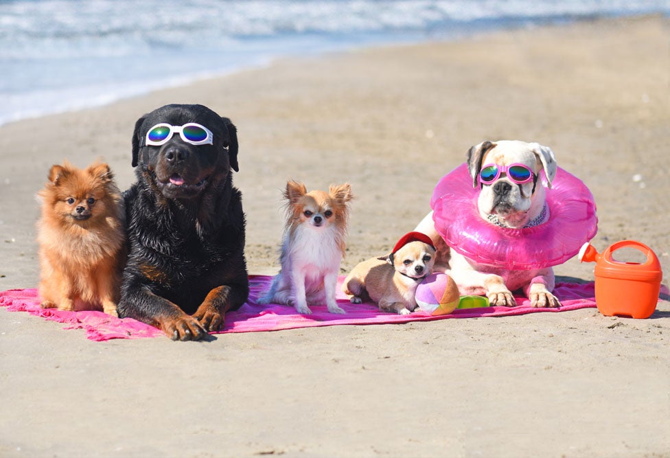 https://www.randolphemc.com/sites/default/files/revslider/image/Banner%20-%20Website%20-%20Stay%20Cool%20This%20Summer-4.jpg