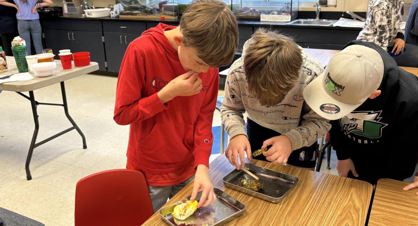 Bright Idea STEAM Project