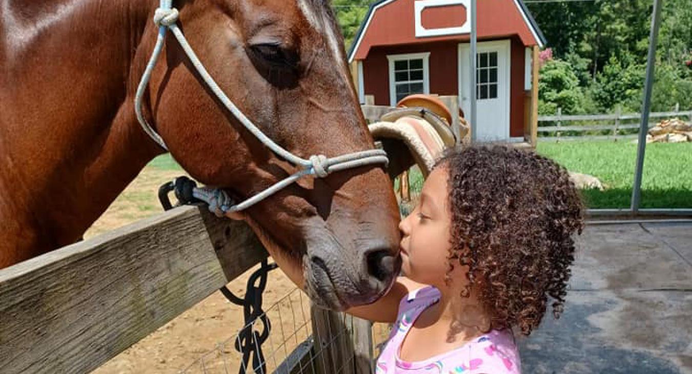 Spirit Horse ranch